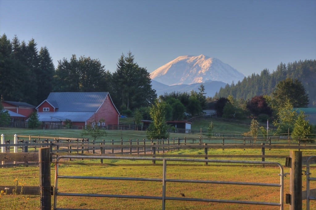 Landscape Contractor Enumclaw Washington